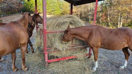 hay_round_bale.jpg