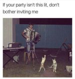 party.jpg